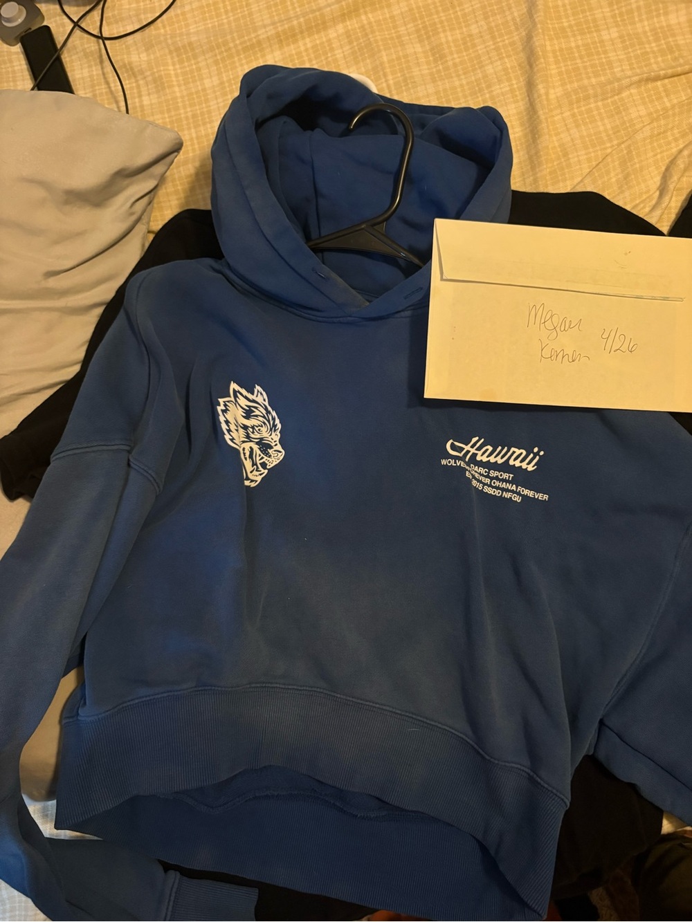 Darc sport Hawaii blue crop hoodie